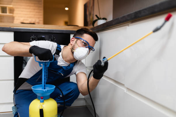 Flea Control Services in Haynesville, LA