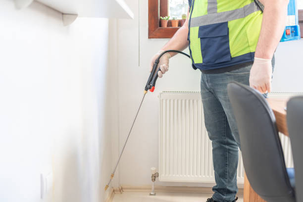 Best Bed Bug Extermination  in Haynesville, LA