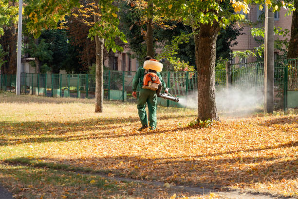 Best Wasp Removal Services  in Haynesville, LA