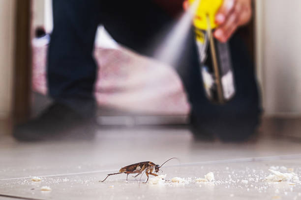 Professional Pest Control in Haynesville, LA