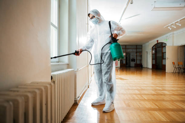 Best Pest Control Near Me in Haynesville, LA