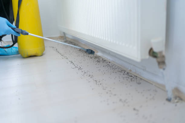 Best Best Pest Control Companies  in Haynesville, LA