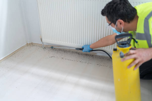 Reliable Haynesville, LA Pest Control Solutions