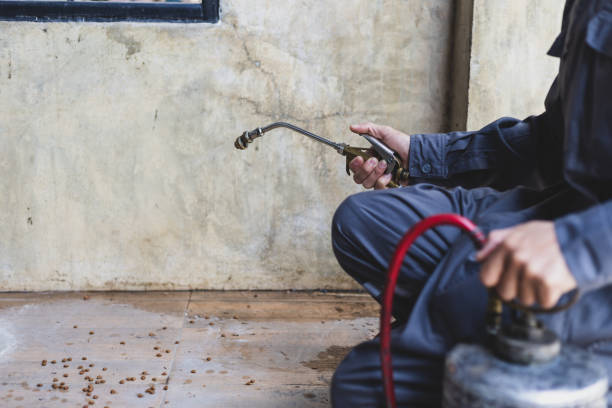 Best Pest Inspection Near Me  in Haynesville, LA
